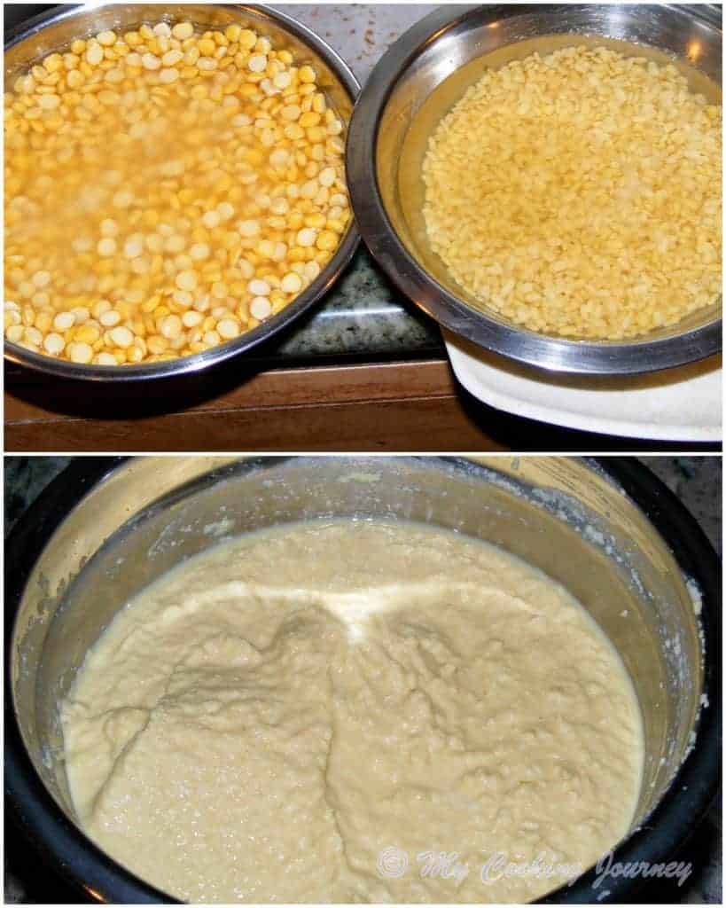 Gujarat Dhokla
