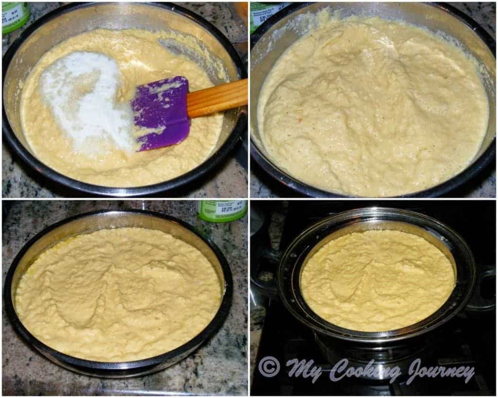 Gujarat Dhokla
