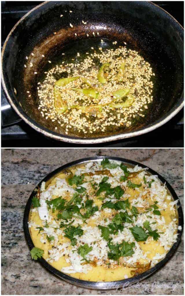 Gujarat Dhokla