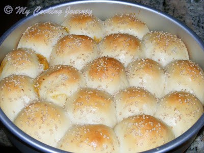 Honey Comb Buns Honey Comb Buns