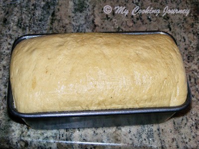 Pumpkin Yeast bread %%