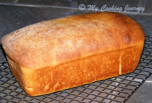 Pumpkin Yeast bread %%