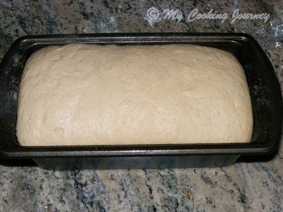 100% Whole Wheat Sandwich Bread 100% Whole Wheat Sandwich Bread