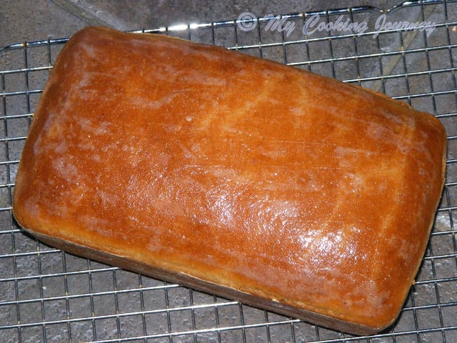 100% Whole Wheat Sandwich Bread 100% Whole Wheat Sandwich Bread