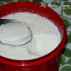 Homemade Yogurt in Red container