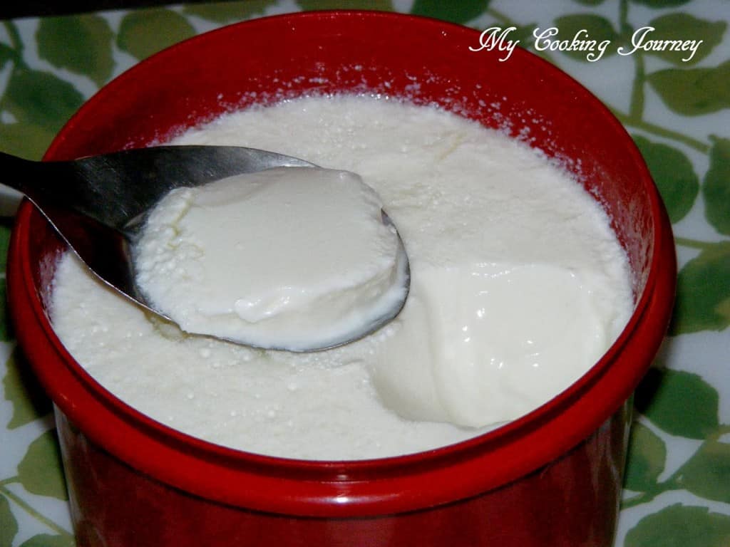 Homemade Yogurt Homemade Yogurt