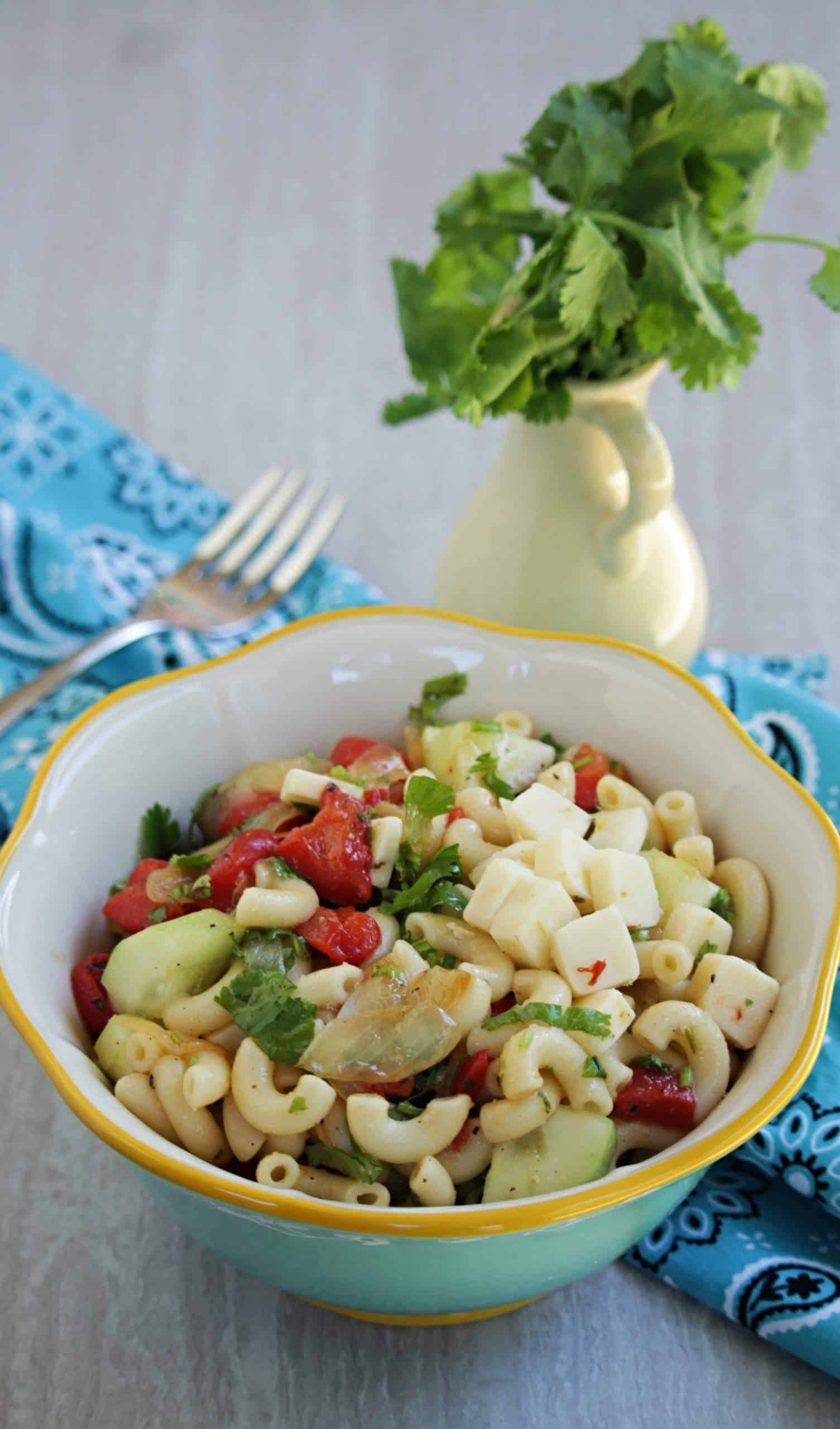 Roasted Pepper Pasta Salad with Simple Vinaigrette - My Cooking Journey