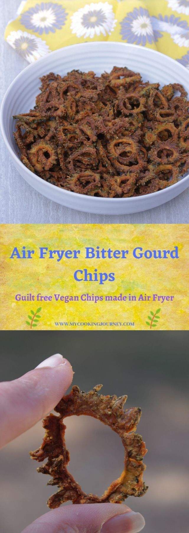 Bitter Gourd Chips in Air Fryer My Cooking Journey