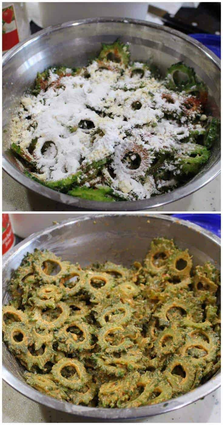 Bitter Gourd Chips in Air Fryer My Cooking Journey
