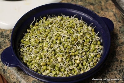 Mung sprouts in a bowl