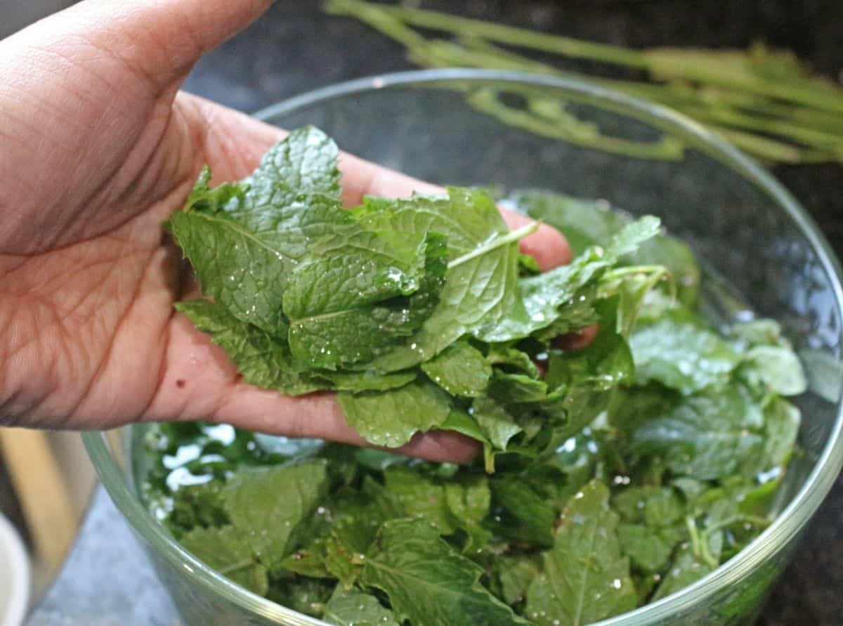 cleaning mint leaves