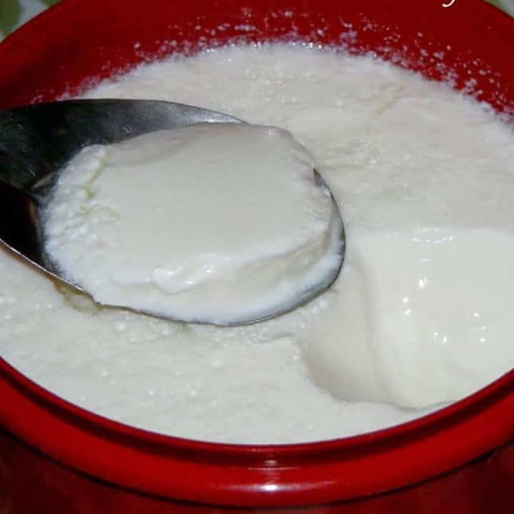 Homemade Yogurt in a red container and spoon - Featured Image